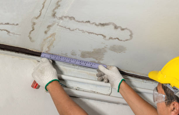 Reliable Structural Drying And Dehumidification contractor in Rockwood, MI by Aqua Guard Water Damage